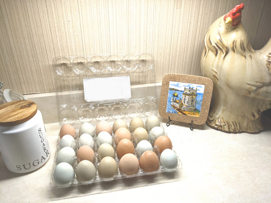Dozen (12) Fertilized Chicken Eggs - Easter Egger - Colorful Eggs!