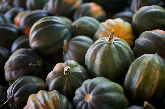 Acorn 'Winter' Squash