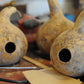 Bottle Gourd